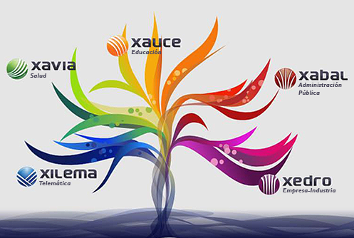 xavia xauce xabal xedro xilema rainbow tree